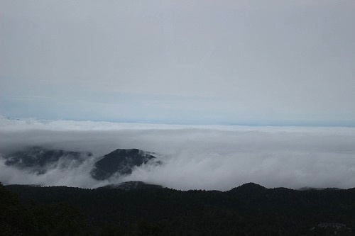 旭岳の雲海