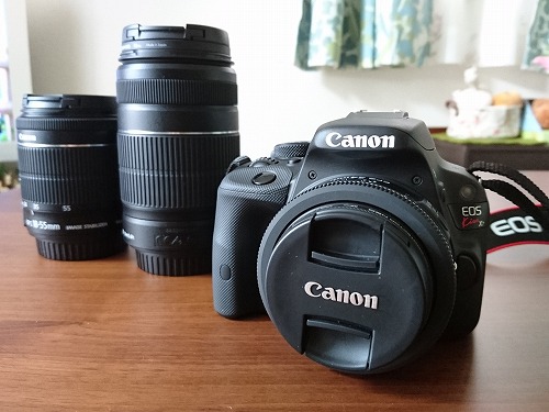 【EFS 24mm f/2.8 STM】Canon 単焦点レンズ