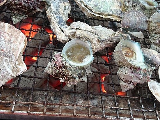 福岡県糸島市の牡蠣ハウス マルハチ