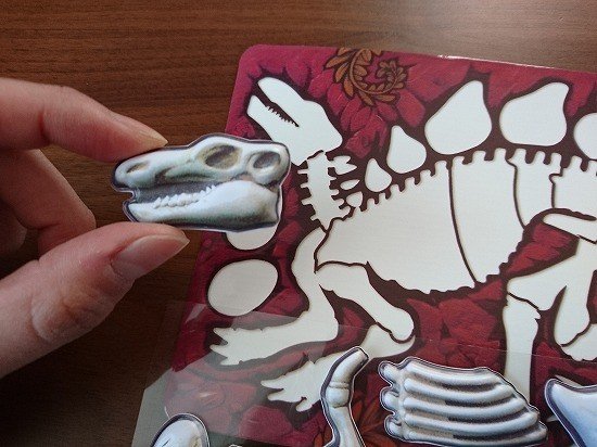100円ショップのパズル　恐竜の化石